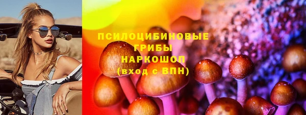 СК Верея