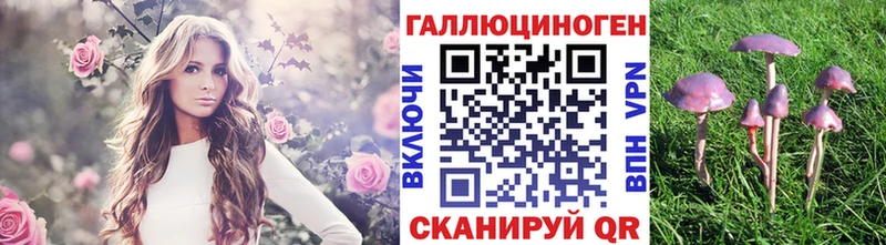 купить  цена  Змеиногорск  Псилоцибиновые грибы MAGIC MUSHROOMS 